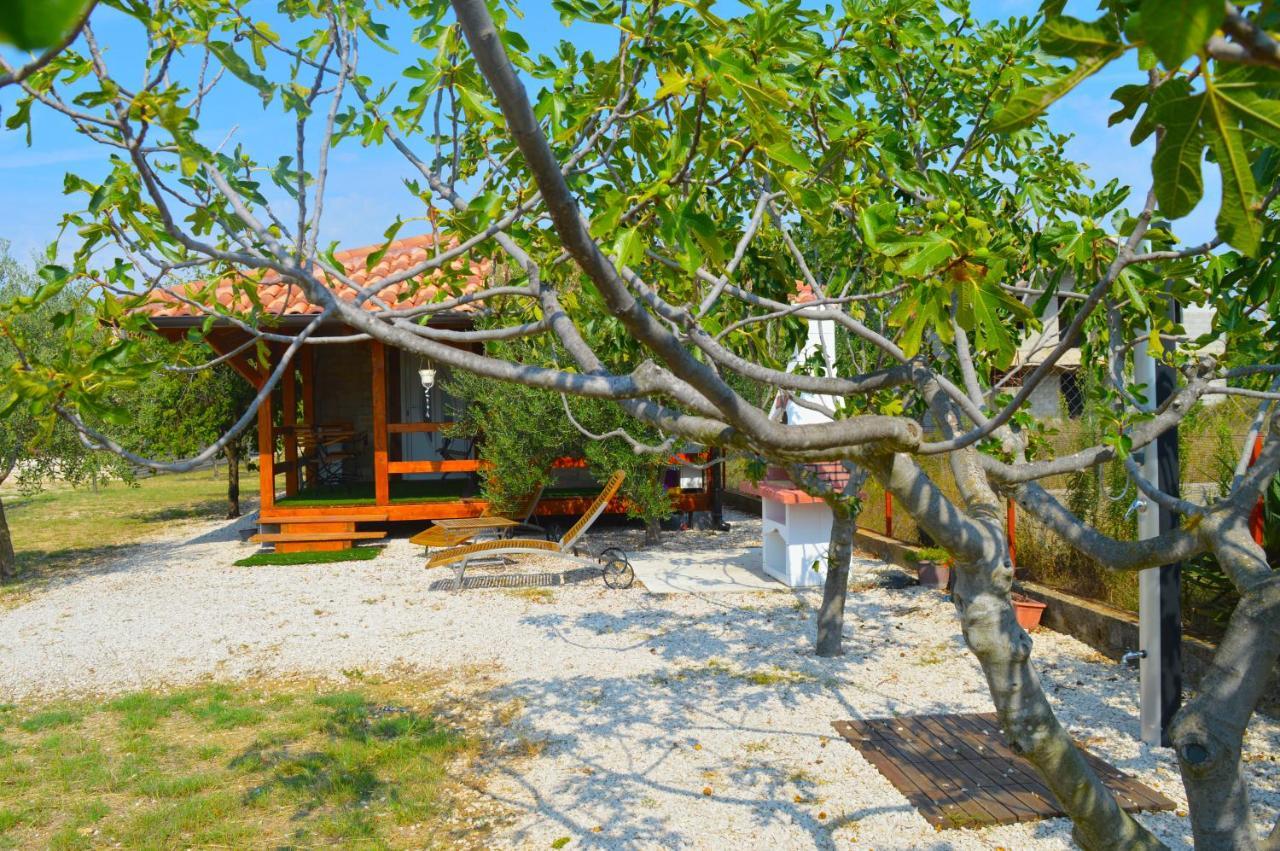 Studio Apartments Luka Biograd - بنكوفاتش المظهر الخارجي الصورة