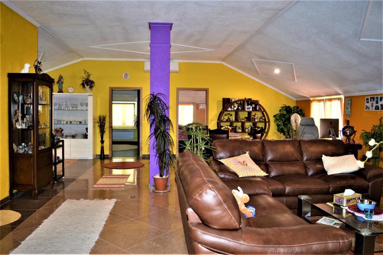 Studio Apartments Luka Biograd - بنكوفاتش المظهر الخارجي الصورة