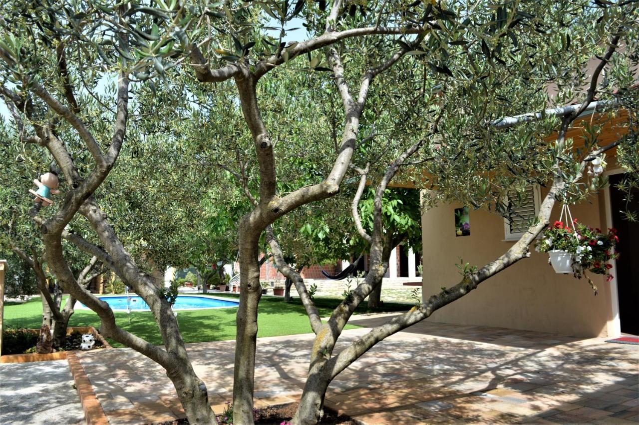 Studio Apartments Luka Biograd - بنكوفاتش المظهر الخارجي الصورة
